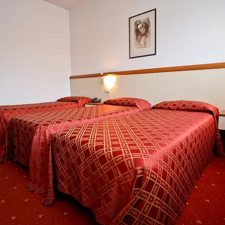 Due Ragni Hotel Villorba