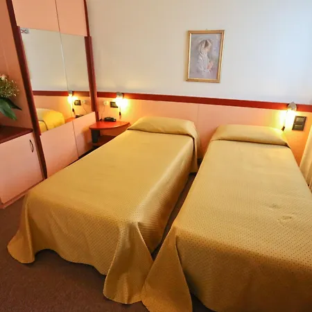 Due Ragni Hotel Villorba
